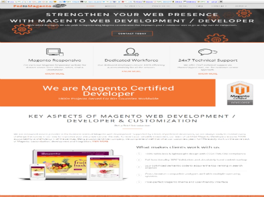 A great web design by PSDtoMagentoDeveloper, Delaware City, DE: 