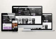 A great web design by Digital Marauders, Minneapolis, MN: Responsive Website, Marketing Website
, Manufacturing
, Wordpress
