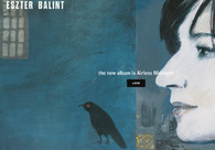 A great web design by tagsandcode, Chicago, IL: 