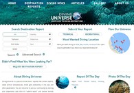 A great web design by BVG Software group, San Fransisco, CA: 