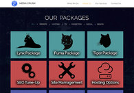 A great web design by Media Crush, Fakenham, United Kingdom: 