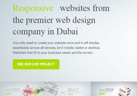 A great web design by Dubaimonsters, Dubai, United Arab Emirates: Responsive Website, E-Commerce
, Software
, Wordpress
