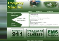 A great web design by CTSC, New York, NY: 