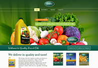 A great web design by Aydin, Toronto, Canada: 