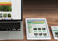 A great web design by Rocket Fish Studio, Seattle, WA: 