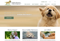 A great web design by DC Web Designers, Washington, DC: Responsive Website, Marketing Website
, Other, Wordpress
