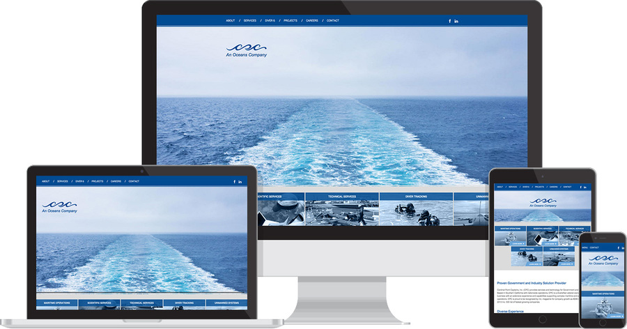 A great web design by Next Level Web, Vista, CA: 
