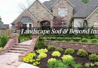 A great web design by Horses Etc. SEO & Marketing, Ocala, FL: 