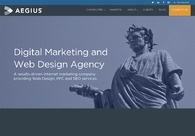 A great web design by Aegius, Denver, CO: 