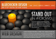A great web design by Bluechicken Design, Boston, MA: 