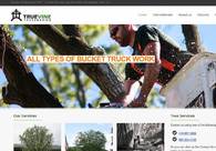 A great web design by Microtronix ESolutions, LLC, Grover Hill, OH: Responsive Website, Marketing Website
, Other, Joomla
