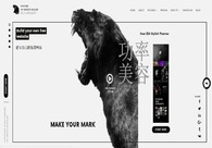 A great web design by Panther, Cape Town, South Africa: 