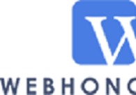 A great web design by Webhonchoz, Houston, TX: 