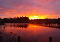 A great web design by allantechnologies.com, Victoria, Canada: 