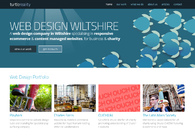 A great web design by turtlereality web design, Salisbury, United Kingdom: Responsive Website, Portfolio
, Technology
, Drupal
