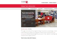 A great web design by Rivkah (Rybak) Tirschwell, Jerusalem, Israel: 