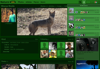 A great web design by Future Expert, Ahmedabad, India: 