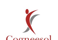 A great web design by Cogneesol Inc., New York, NY: Other, Accounting
