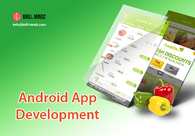 A great web design by Android App Development in Austin, Austin, TX: 