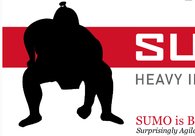 A great web design by SUMO Heavy Industries, Philadelphia, PA: 