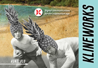 A great web design by Klineworks, Honolulu, HI: 