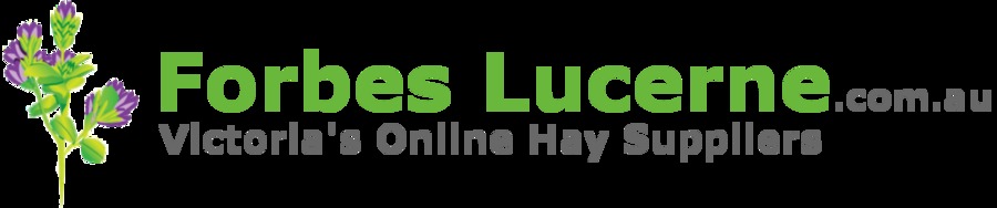 A great web design by Webyte Web Design, Ballarat, Australia: 