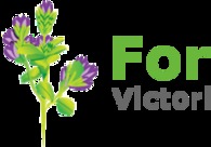 A great web design by Webyte Web Design, Ballarat, Australia: 