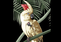 A great web design by VectorArt, Los Angeles, CA: 