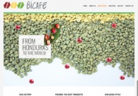 A great web design by Yaakun IT, Guatemala City, Guatemala: 