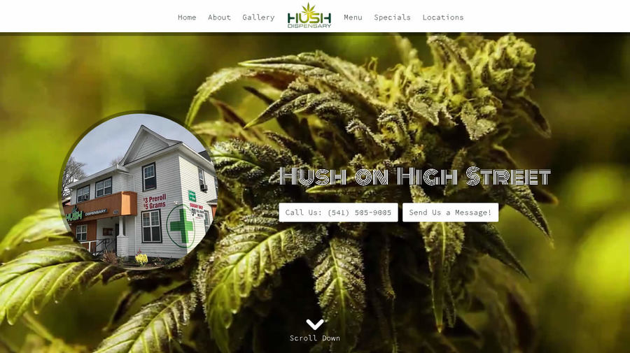 A great web design by CleanSites.us - Fort Worth Web Design, Fort Worth, TX: 