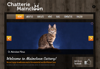 A great web design by Minerva Web Design and Marketing, Montreal, Canada: 