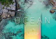 A great web design by Vera Trifonova, Seattle, WA: 