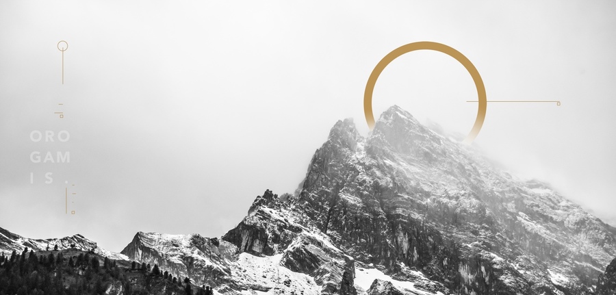 A great web design by Orogamis, Palo Alto, CA: 