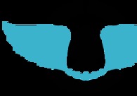 A great web design by Ace Mind Tech, Delhi, India: 