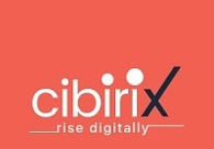 A great web design by Cibirix Digital Marketing Agency, Mount Airy, NC: 