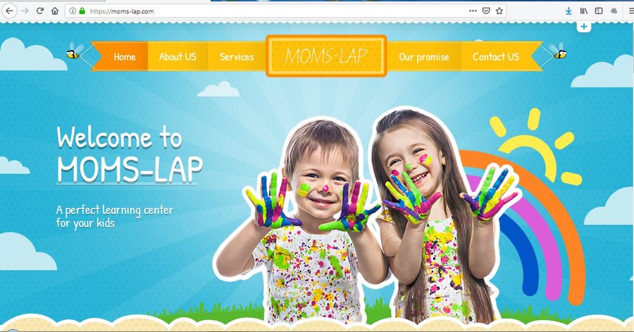 A great web design by LearningSolutionsGroup, Florida, FL: 