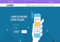 A great web design by SEO Kaos, Serula, GA: 