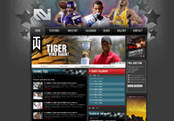 A great web design by TJ Mapes, Chicago, IL: 