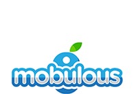 A great web design by Mobulous, India, UT: 