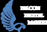 A great web design by Falcon Digital Marketing , Houston, TX: 