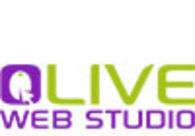 A great web design by Olive Web Studio, Brooklyn, NY: 