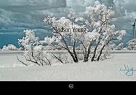 A great web design by Xansibar, Vancouver, Canada: 