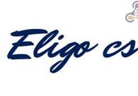 A great web design by Eligo Creative Services, Shimla, India: 