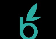 A great web design by webamboos, Utah, TN: 