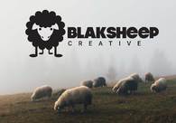A great web design by BlakSheep Creative, Baton Rouge, LA: 