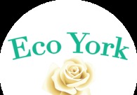 A great web design by Eco York, Ahmedabad, India: Responsive Website, Web Application
, Software
, Wordpress

