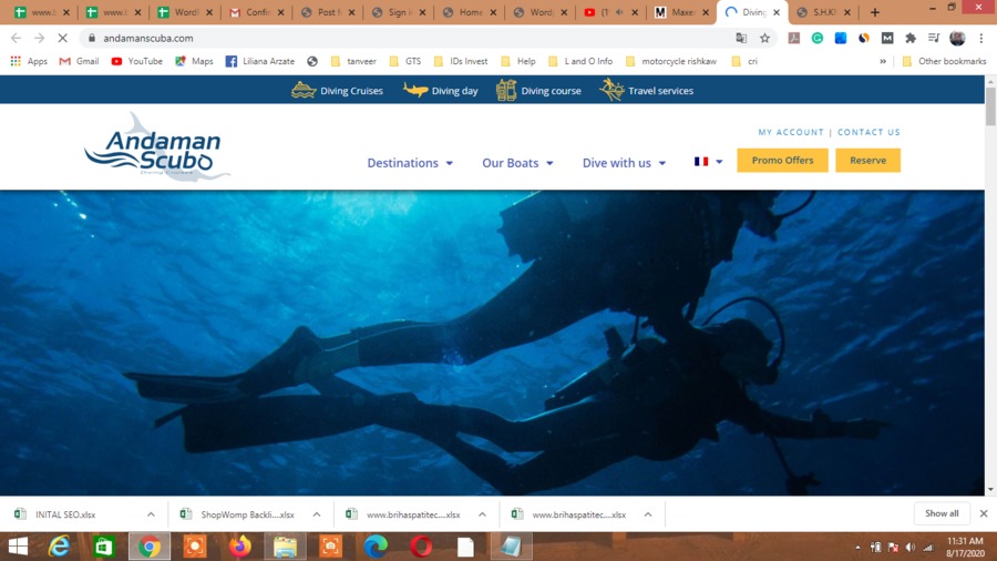 A great web design by Maxenius, Dubai, United Arab Emirates: 