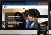 A great web design by Shava Consulting, Johannesburg, South Africa: 