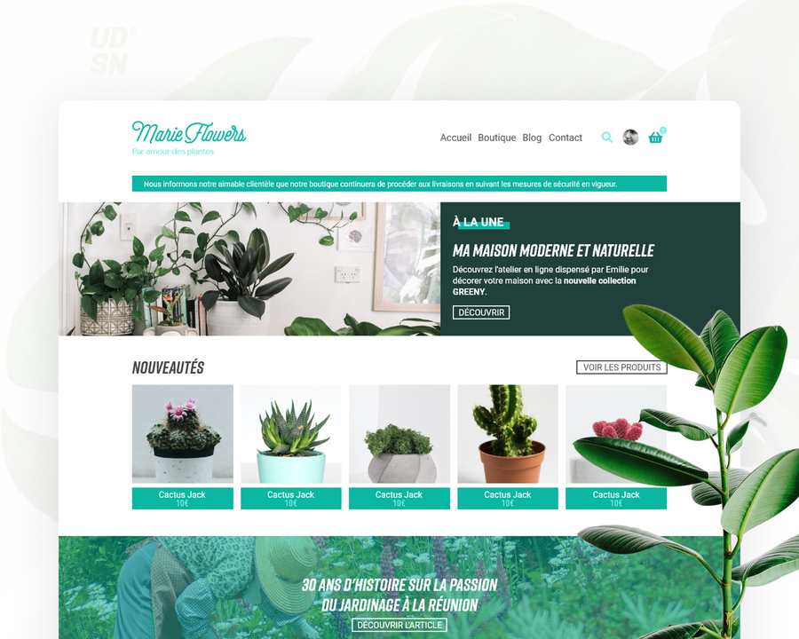 A great web design by UDESIGNRUN - Graphiste & Web Designer à La Réunion, Réunion, Mauritius: 