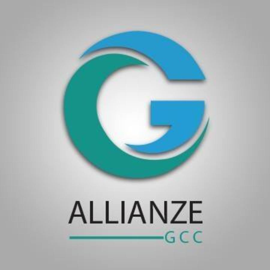 A great web design by Allianze GCC, Dubai, United Arab Emirates: 